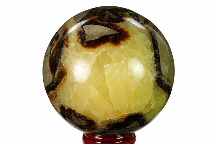 Polished Septarian Sphere - Madagascar #154146